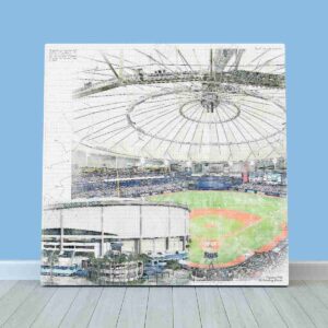 Tropicana Field Print, Tampa Bay Rays Wall Art, Baseball Stadium Art
