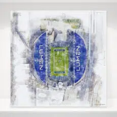 Lumen Field Print, Aerial View, Seattle Seahawks Football, Artist Drawn Football Stadium
