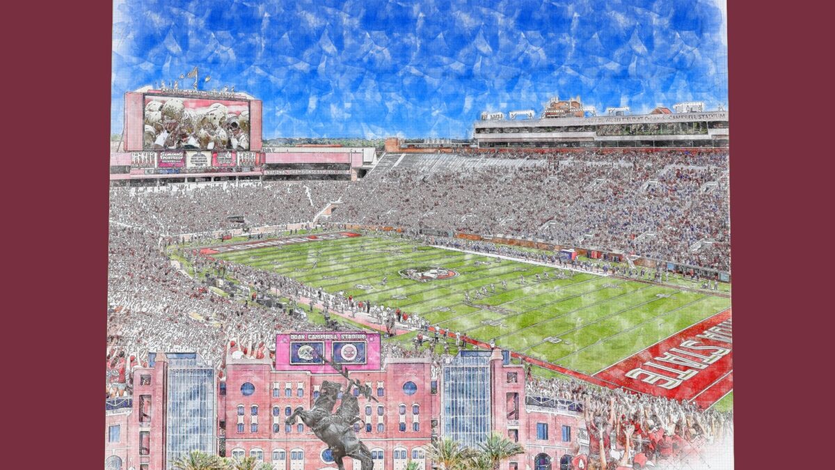 Doak S. Campbell Stadium Print / Canvas Wall Art, Florida State