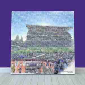 Alaska Airlines Field at Husky Stadium Print, Washington Huskies Wall Art, College Football Stadium Art